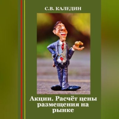 Акции. Расчёт цены размещения на рынке (аудиокнига)