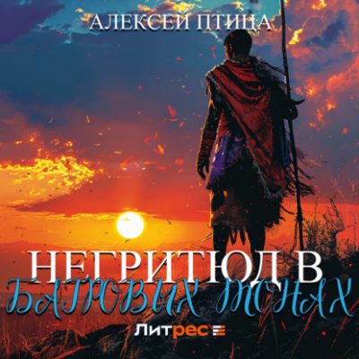 Негритюд в багровых тонах (аудиокнига)