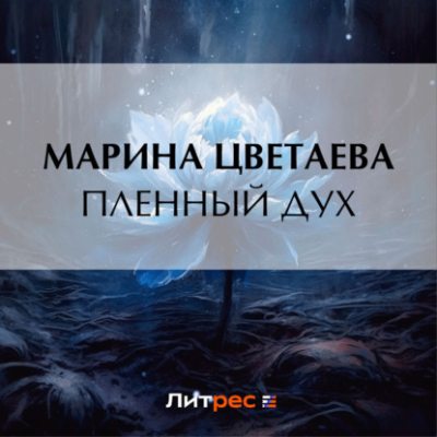 Пленный дух (аудиокнига)