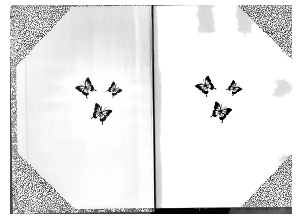 София де Сегюр - Примерные девочки - Страница № 2