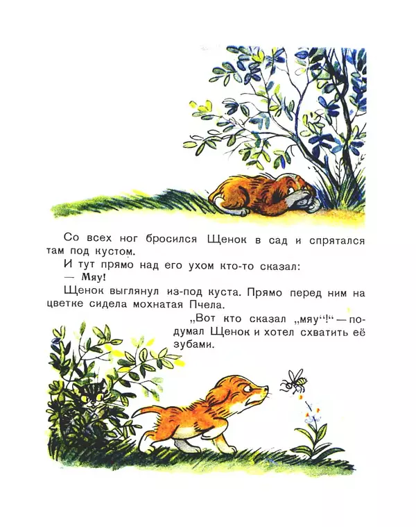 Владимир Сутеев - Кто сказал «мяу»? - Страница № 11