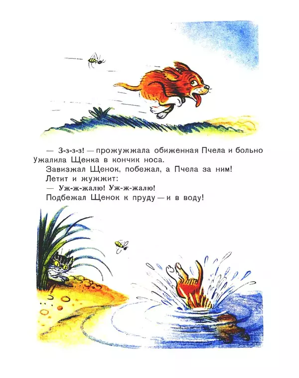 Владимир Сутеев - Кто сказал «мяу»? - Страница № 12