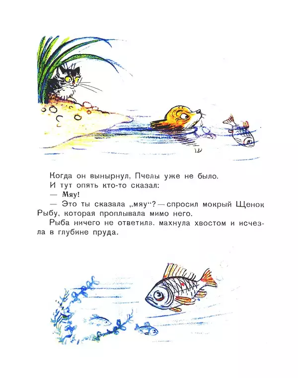 Владимир Сутеев - Кто сказал «мяу»? - Страница № 13