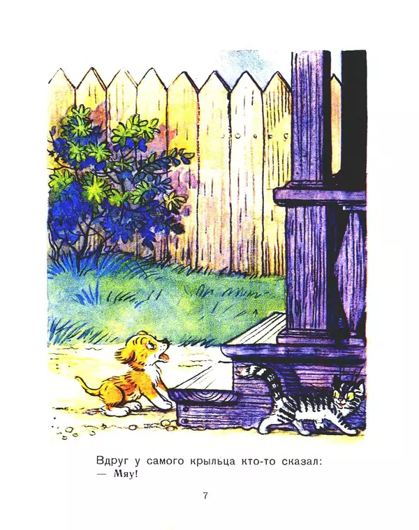Владимир Сутеев - Кто сказал «мяу»? - Страница № 6