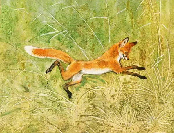 Игорь Акимушкин - Это все собаки - Страница № 2