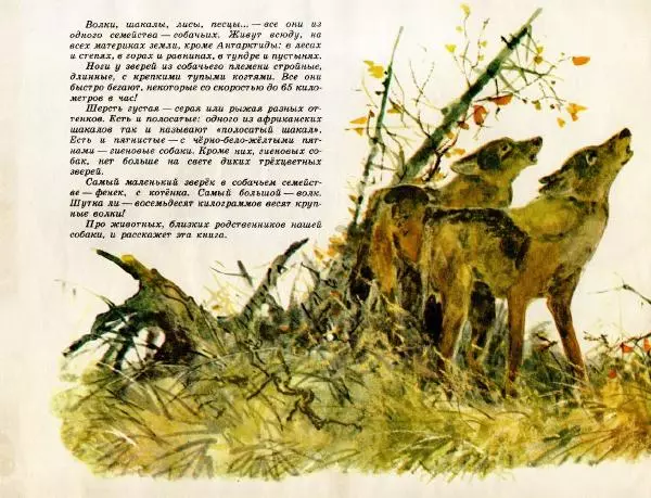 Игорь Акимушкин - Это все собаки - Страница № 4