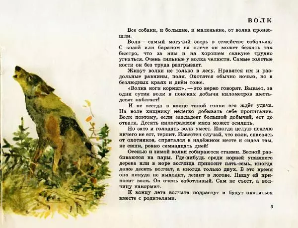 Игорь Акимушкин - Это все собаки - Страница № 5