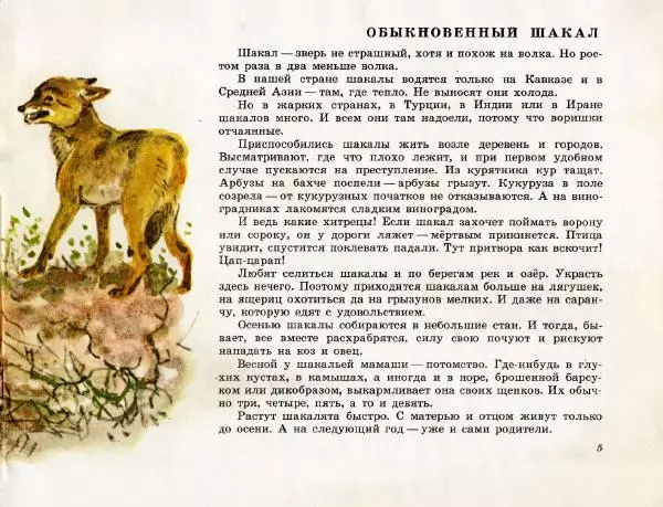 Игорь Акимушкин - Это все собаки - Страница № 7