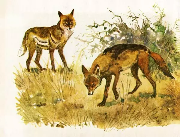 Игорь Акимушкин - Это все собаки - Страница № 8