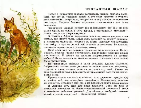 Игорь Акимушкин - Это все собаки - Страница № 9