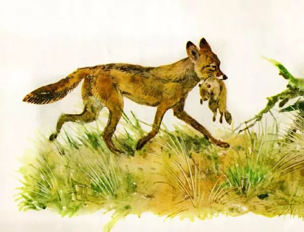 Игорь Акимушкин - Это все собаки - Страница № 10