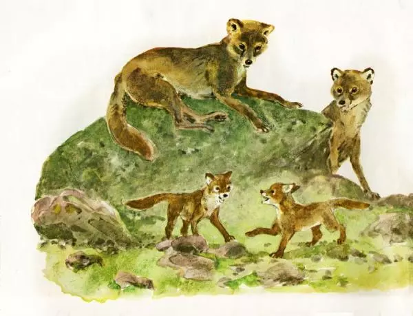 Игорь Акимушкин - Это все собаки - Страница № 12