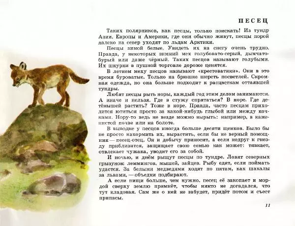 Игорь Акимушкин - Это все собаки - Страница № 13