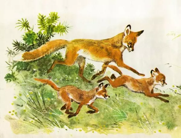 Игорь Акимушкин - Это все собаки - Страница № 14