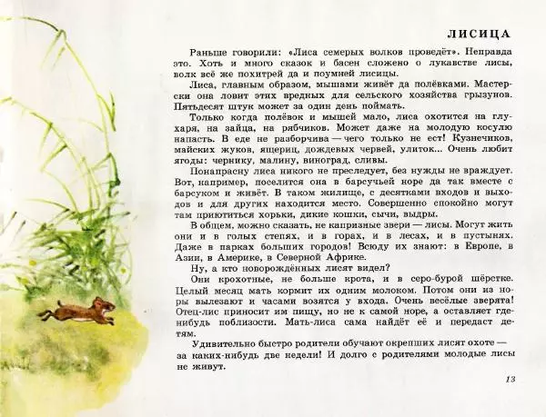 Игорь Акимушкин - Это все собаки - Страница № 15