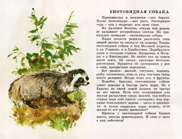 Игорь Акимушкин - Это все собаки - Страница № 16