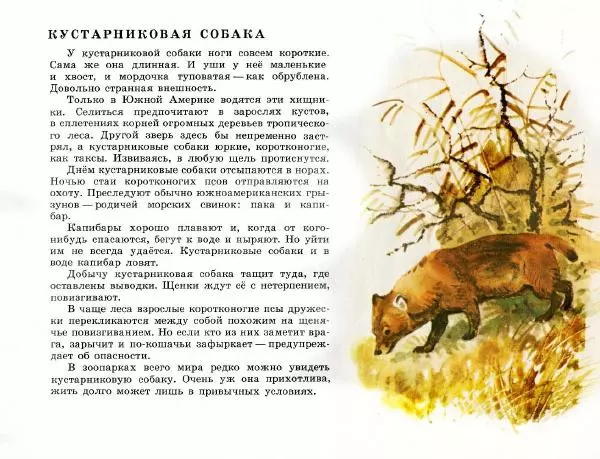 Игорь Акимушкин - Это все собаки - Страница № 17