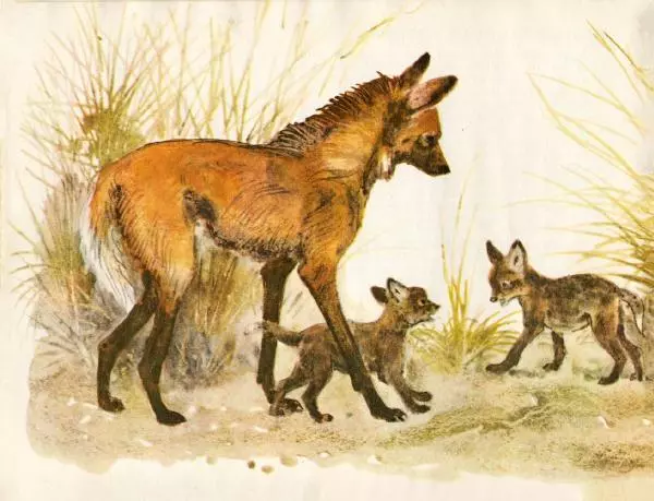 Игорь Акимушкин - Это все собаки - Страница № 18