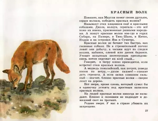 Игорь Акимушкин - Это все собаки - Страница № 23