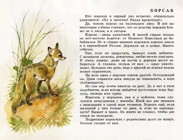 Игорь Акимушкин - Это все собаки - Страница № 24