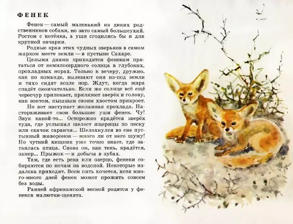 Игорь Акимушкин - Это все собаки - Страница № 25