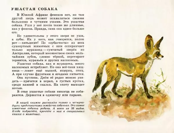 Игорь Акимушкин - Это все собаки - Страница № 26