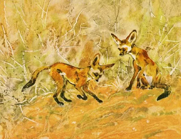 Игорь Акимушкин - Это все собаки - Страница № 27