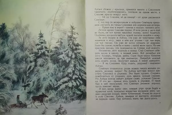 Петр Шашурин - Лебеди - Страница № 6