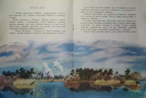Петр Шашурин - Лебеди - Страница № 8