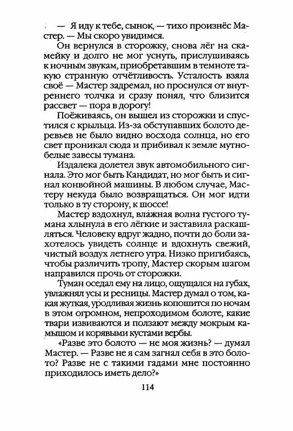 Егор Конев - Старый дворец - Страница № 115