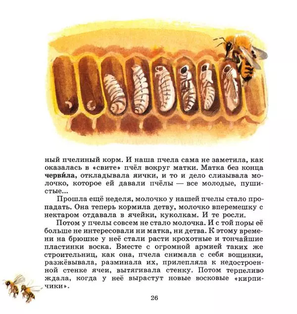 Сергей Иванов - На пасеке - Страница № 30