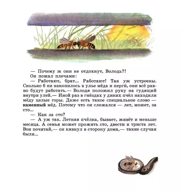 Сергей Иванов - На пасеке - Страница № 35