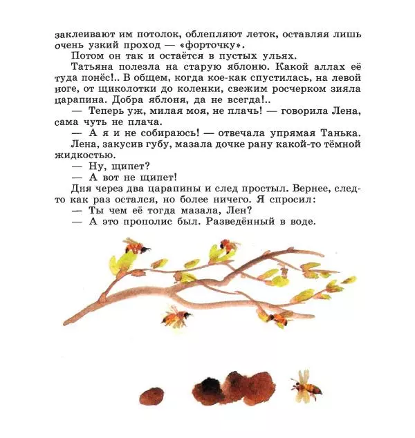 Сергей Иванов - На пасеке - Страница № 43