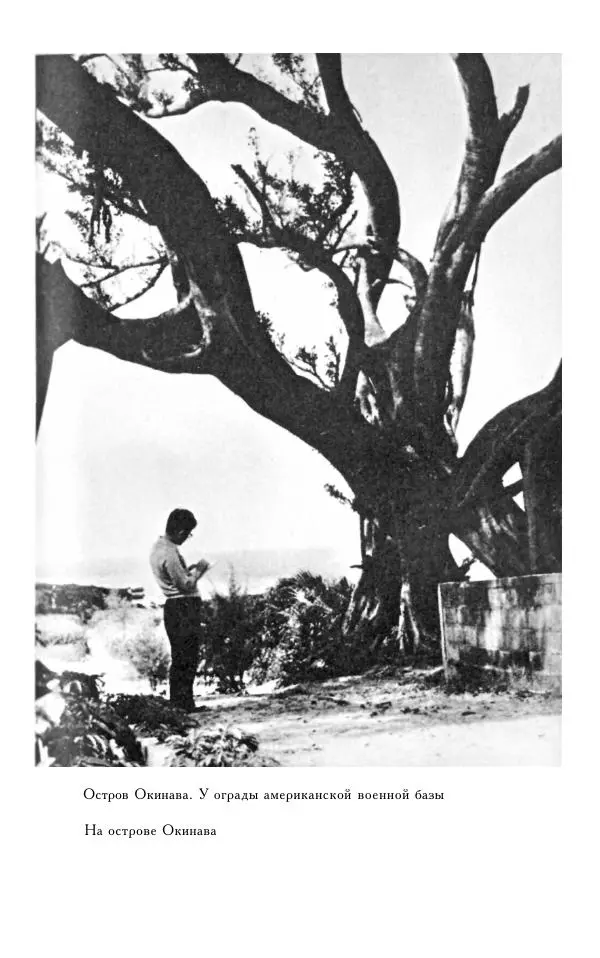 Кэндзабуро Оэ - Обращаюсь к современникам - Страница № 298