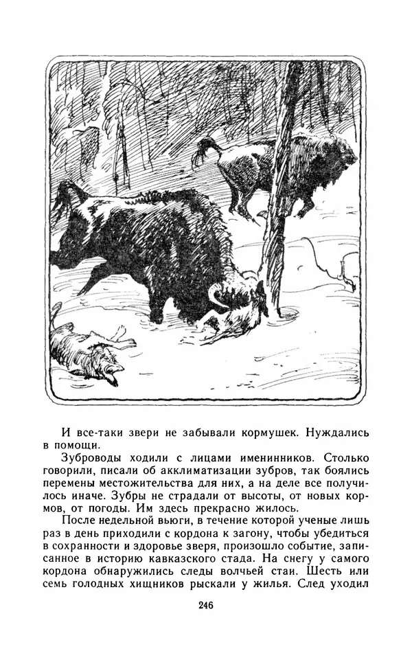 Вячеслав Пальман - Зеленые листы из Красной книги - Страница № 248
