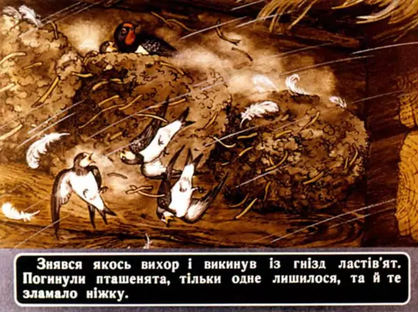 Андрій Калина - Чарівні дині - Страница № 10