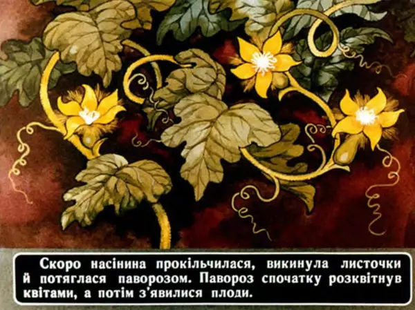 Андрій Калина - Чарівні дині - Страница № 15