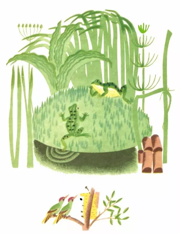 Хелена Бехлерова - Капустный лист - Страница № 15 Хелена Бехлерова - Капустный лист - Страница № 15