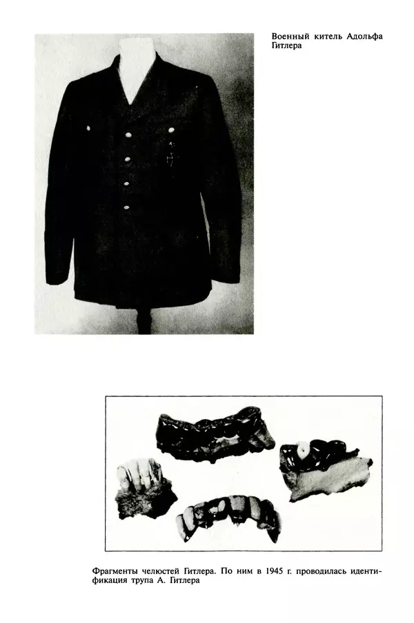 Хайнц Линге - Неизвестный Гитлер - Страница № 338