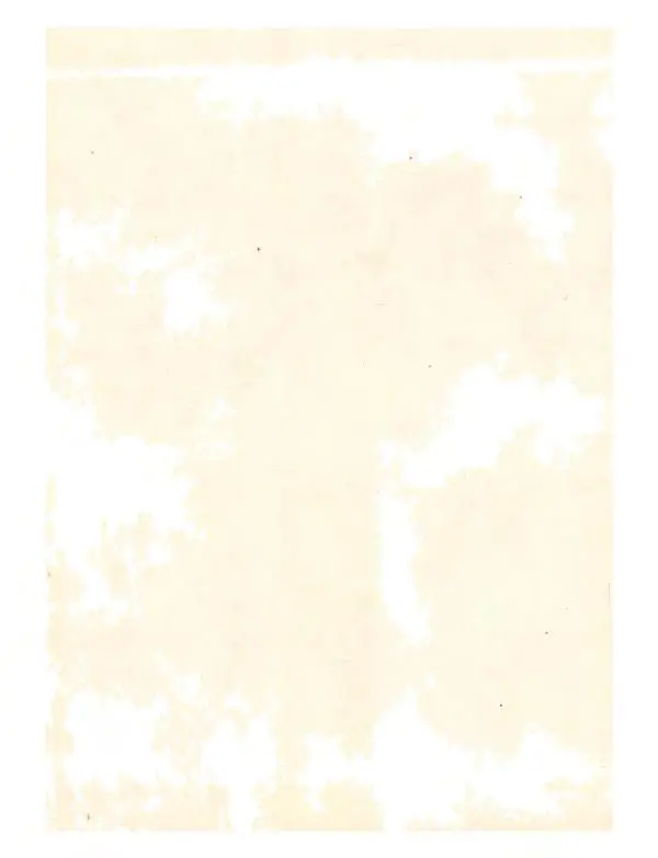 Джанни Родари - Путешествие Голубой Стрелы. Джельсомино в Стране лжецов - Страница № 4