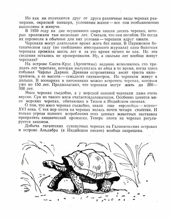Борис Ржевский - Ошибка короля зоопарков - Страница № 22