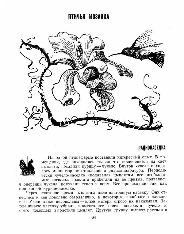 Борис Ржевский - Ошибка короля зоопарков - Страница № 23