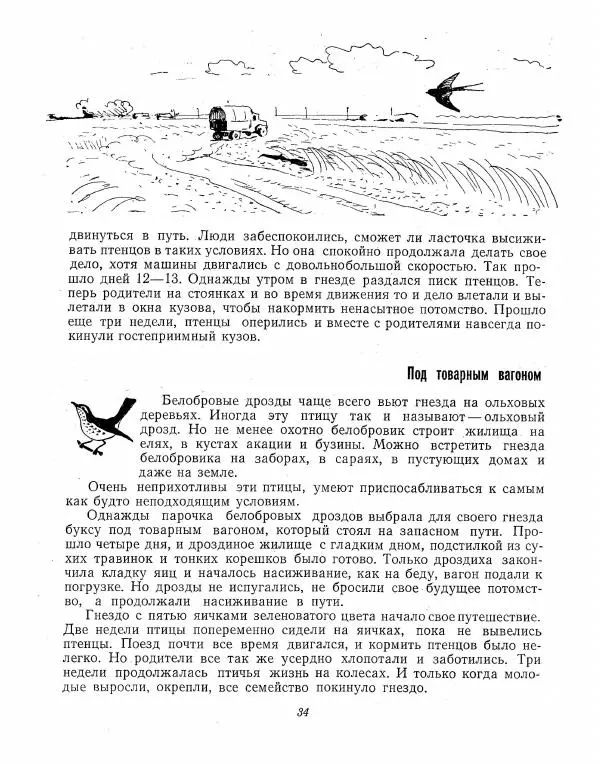 Борис Ржевский - Ошибка короля зоопарков - Страница № 35