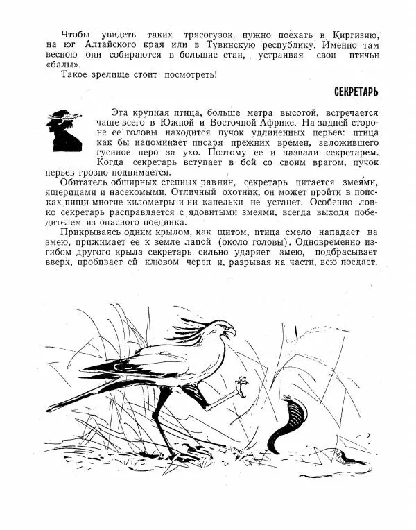 Борис Ржевский - Ошибка короля зоопарков - Страница № 77