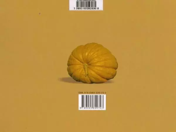 Эно Рауд - Тыкволунье - Страница № 38