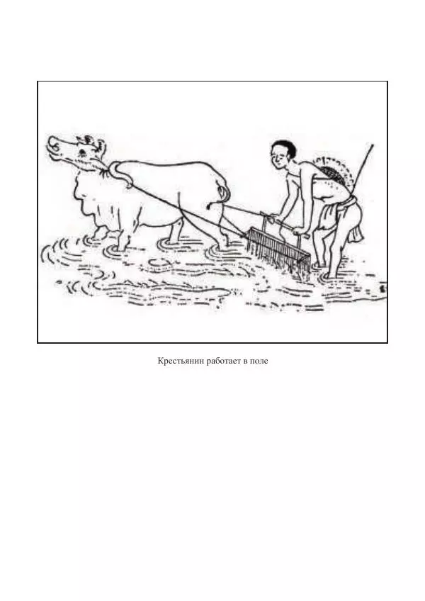 Екатерина Кнорозова - Духовная культура Вьетнама. Традиционные религиозно-мифологические воззрения вьетнамцев - Страница № 242