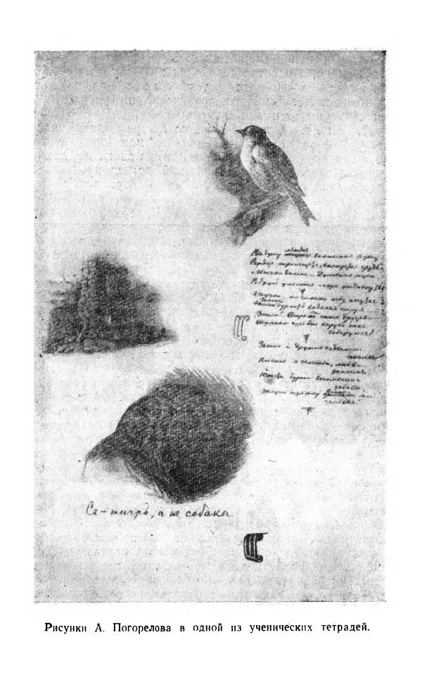 Марианна Верховская - Алексей Погорелов. Критико-биографический очерк - Страница № 16