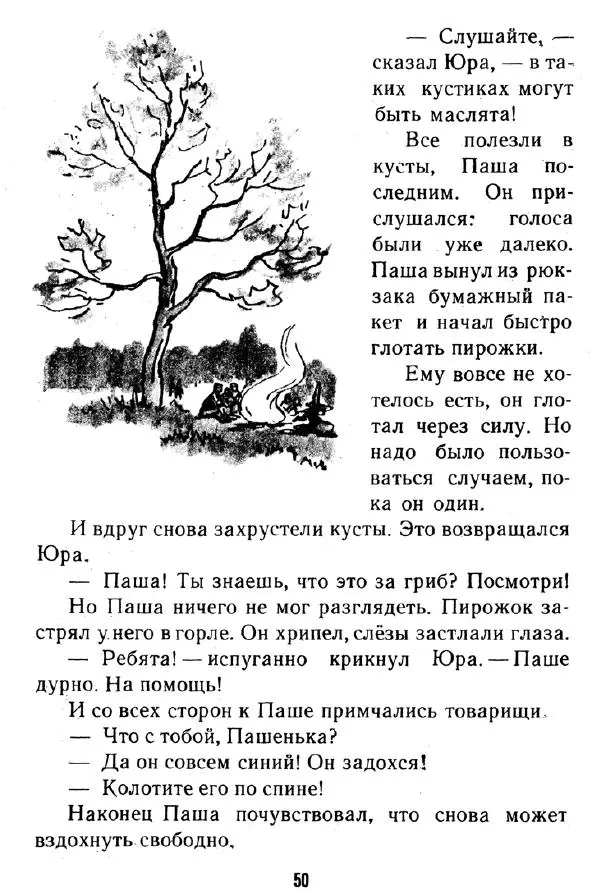 Надежда Надеждина - Иринка-рябинка - Страница № 52