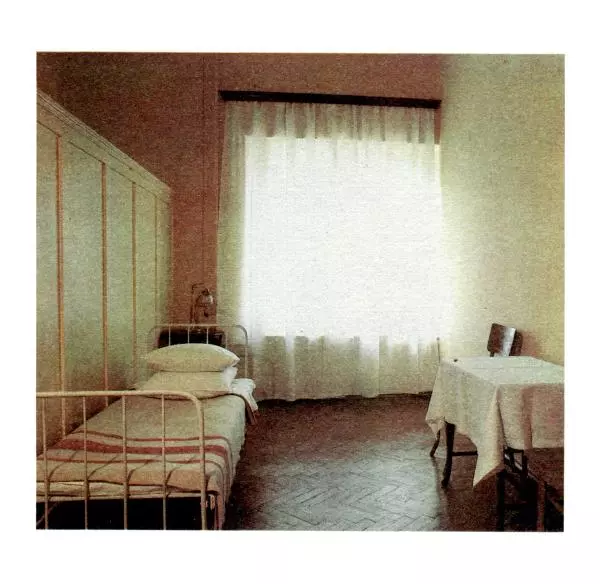 Аграфена Великанова - Ленин в Смольном - Страница № 148