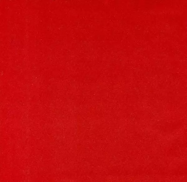 Аграфена Великанова - Ленин в Смольном - Страница № 241